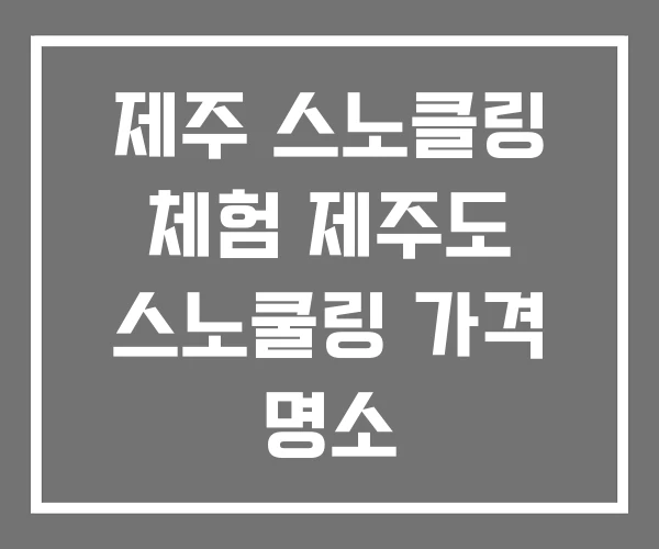 제주 스노클링 체험 제주도 스노쿨링 가격 명소 제주 스노클링 체험 제주도 스노쿨링 가격 명소