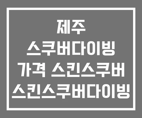 제주 스쿠버다이빙 가격 스킨스쿠버 스킨스쿠버다이빙 체험