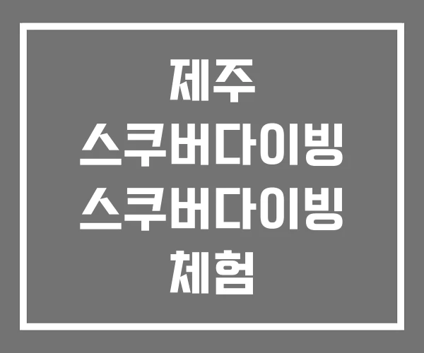 제주 스쿠버다이빙 스쿠버다이빙 체험 스킨스쿠버다이빙 제주 스쿠버다이빙 스쿠버다이빙 체험 스킨스쿠버다이빙