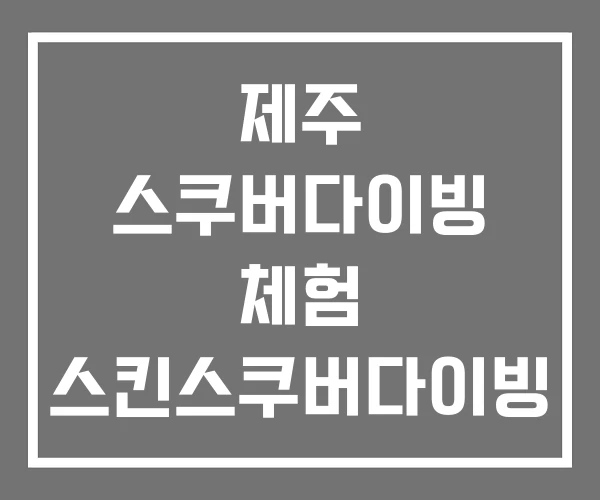 제주 스쿠버다이빙 체험 스킨스쿠버다이빙 포항 제주 스쿠버다이빙 체험 스킨스쿠버다이빙 포항