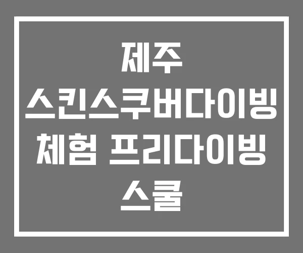 제주 스킨스쿠버다이빙 체험 프리다이빙 스쿨