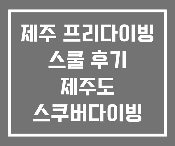 제주 프리다이빙 스쿨 후기 제주도 스쿠버다이빙 가격
