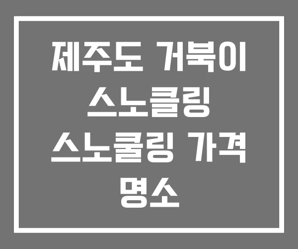 제주도 거북이 스노클링 스노쿨링 가격 명소