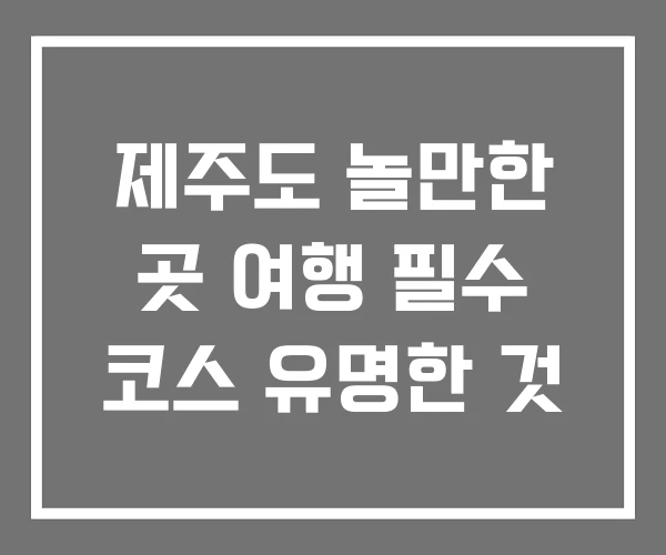 제주도 놀만한 곳 여행 필수 코스 유명한 것