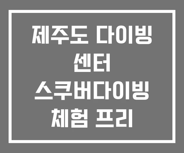 제주도 다이빙 센터 스쿠버다이빙 체험 프리