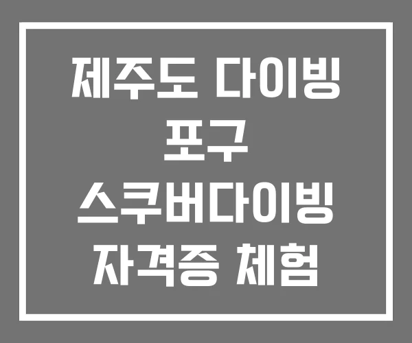 제주도 다이빙 포구 스쿠버다이빙 자격증 체험