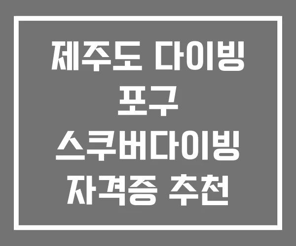 제주도 다이빙 포구 스쿠버다이빙 자격증 추천