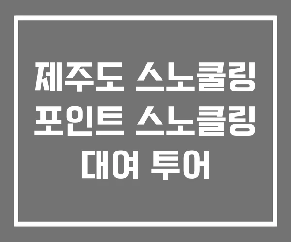 제주도 스노쿨링 포인트 스노클링 대여 투어