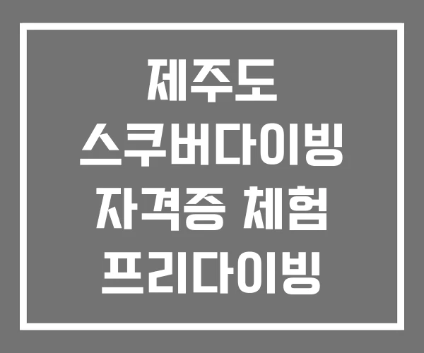 제주도 스쿠버다이빙 자격증 체험 프리다이빙