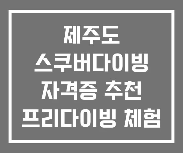 제주도 스쿠버다이빙 자격증 추천 프리다이빙 체험
