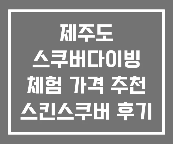 제주도 스쿠버다이빙 체험 가격 추천 스킨스쿠버 후기