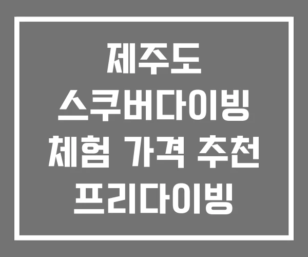 제주도 스쿠버다이빙 체험 가격 추천 프리다이빙
