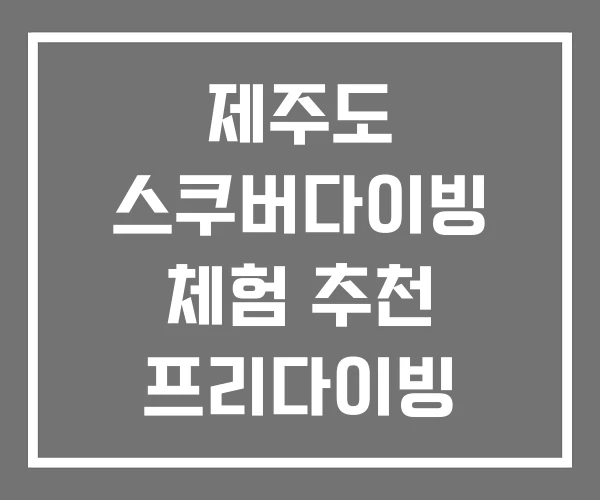 제주도 스쿠버다이빙 체험 추천 프리다이빙 제주도 스쿠버다이빙 체험 추천 프리다이빙