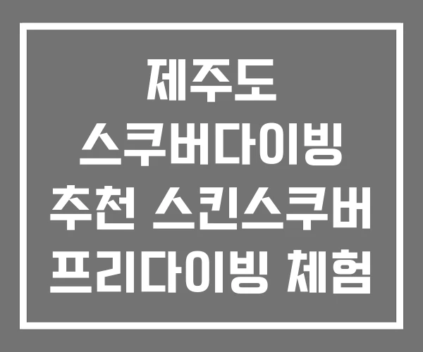 제주도 스쿠버다이빙 추천 스킨스쿠버 프리다이빙 체험