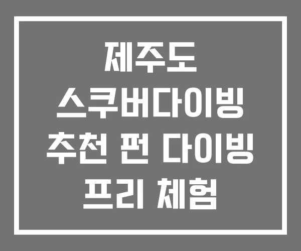 제주도 스쿠버다이빙 추천 펀 다이빙 프리 체험