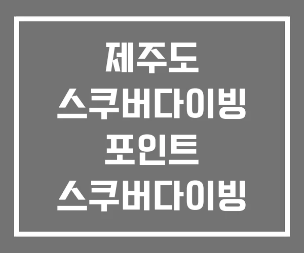 제주도 스쿠버다이빙 포인트 스쿠버다이빙 가격 체험