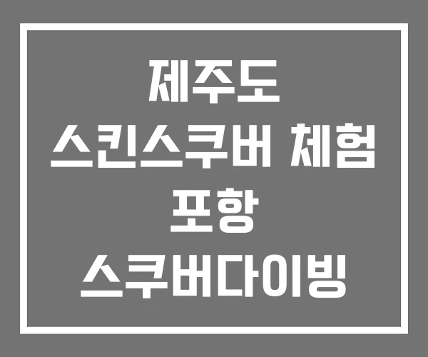 제주도 스킨스쿠버 체험 포항 스쿠버다이빙 잠수 풀 제주도 스킨스쿠버 체험 포항 스쿠버다이빙 잠수 풀