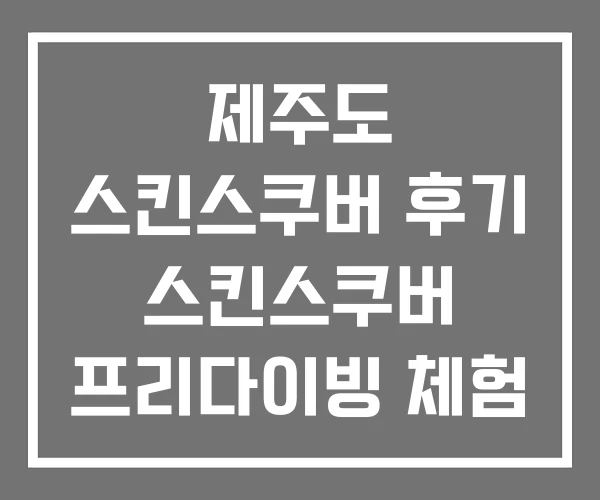 제주도 스킨스쿠버 후기 스킨스쿠버 프리다이빙 체험