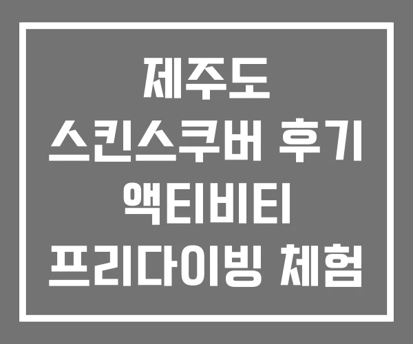 제주도 스킨스쿠버 후기 액티비티 프리다이빙 체험 제주도 스킨스쿠버 후기 액티비티 프리다이빙 체험
