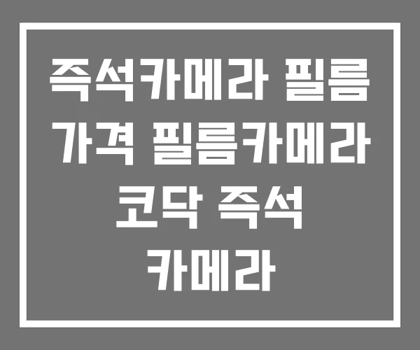 즉석카메라 필름 가격 필름카메라 코닥 즉석 카메라