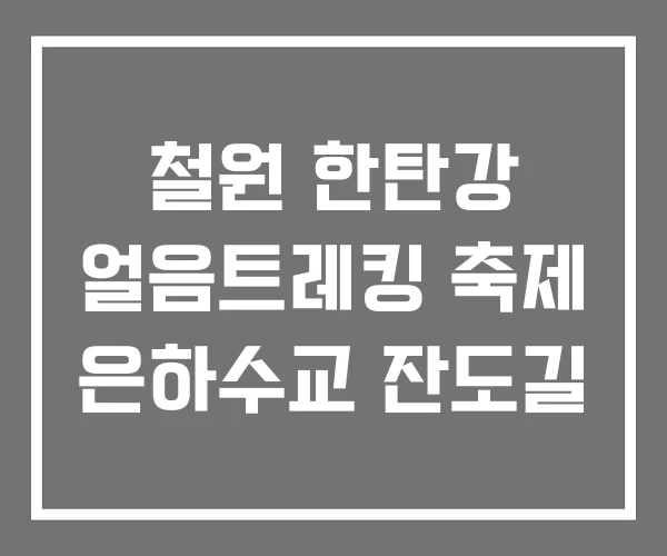 철원 한탄강 얼음트레킹 축제 은하수교 잔도길