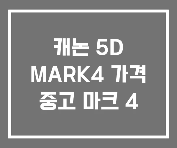 캐논 5D MARK4 가격 중고 마크 4