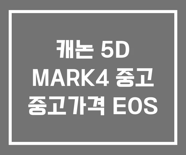 캐논 5D MARK4 중고 중고가격 EOS