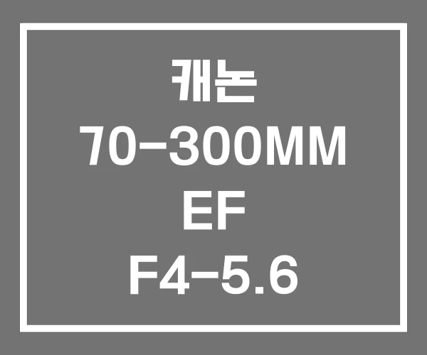 캐논 70-300MM EF F4-5.6 IS II USM