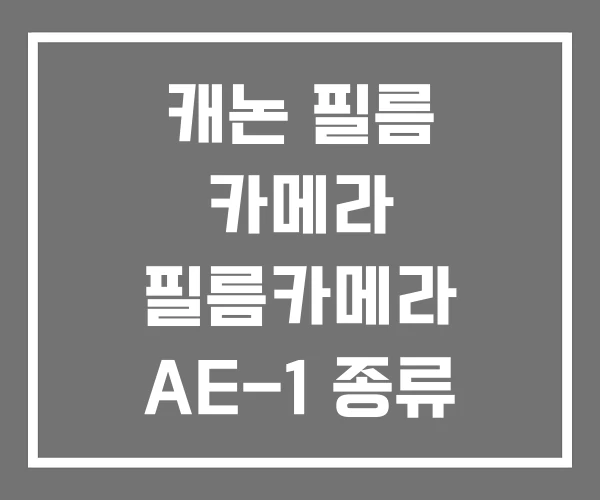 캐논 필름 카메라 필름카메라 AE-1 종류 캐논 필름 카메라 필름카메라 AE-1 종류