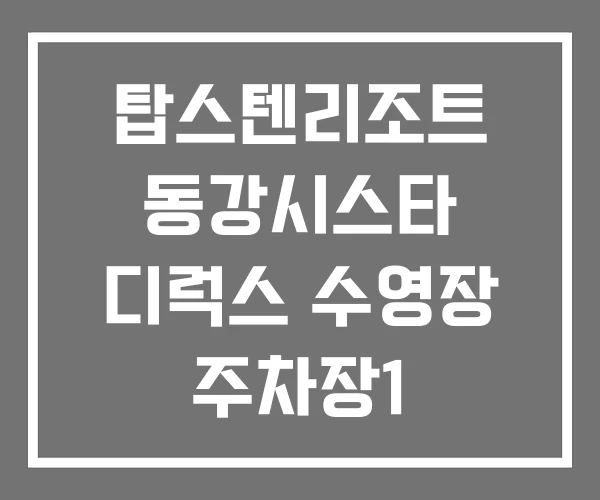 탑스텐리조트 동강시스타 디럭스 수영장 주차장1