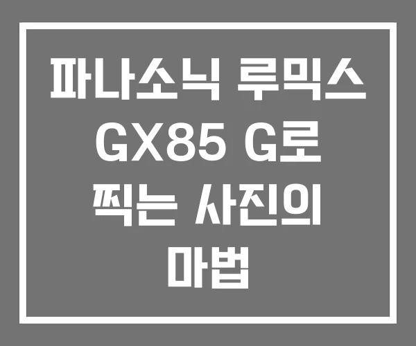 파나소닉 루믹스 GX85 G로 찍는 사진의 마법