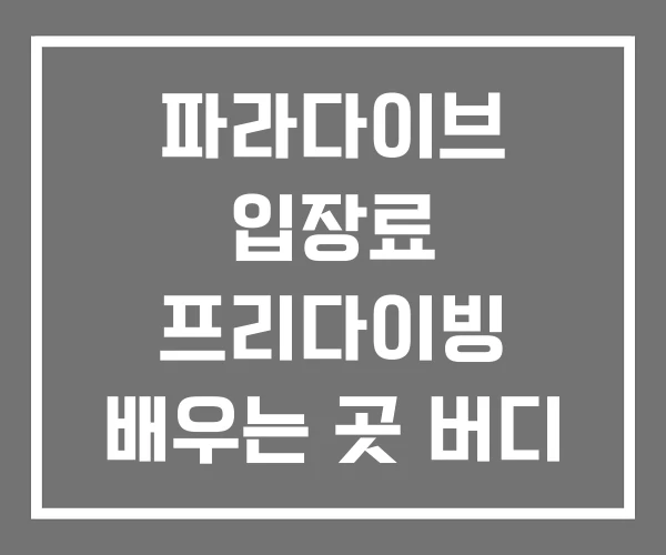 파라다이브 입장료 프리다이빙 배우는 곳 버디 구하기