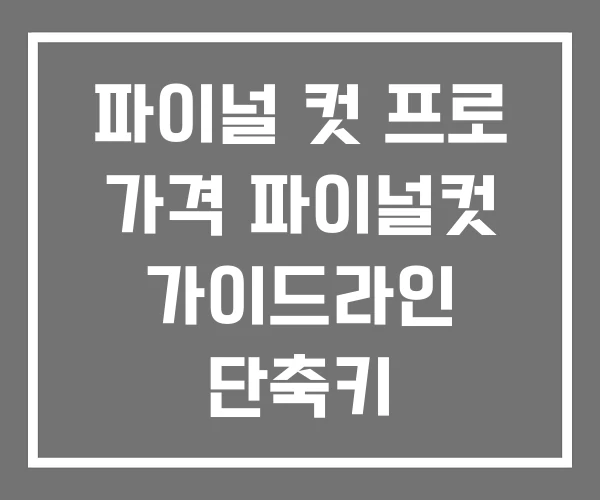 파이널 컷 프로 가격 파이널컷 가이드라인 단축키