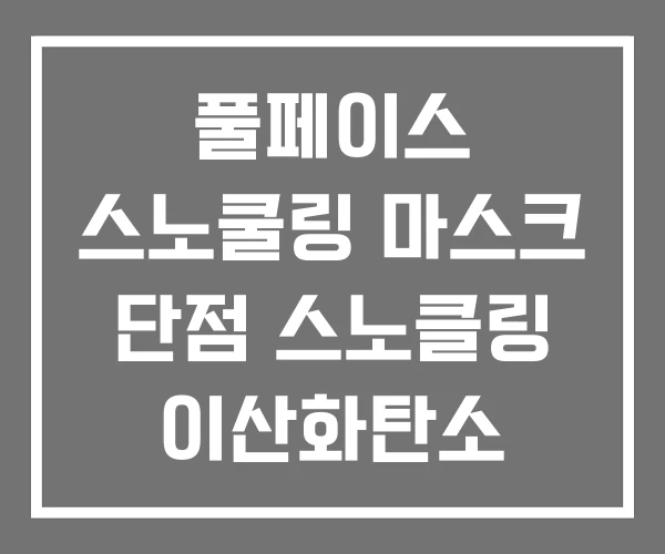 풀페이스 스노쿨링 마스크 단점 스노클링 이산화탄소 풀페이스 스노쿨링 마스크 단점 스노클링 이산화탄소