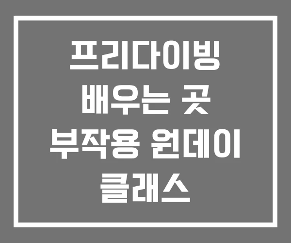 프리다이빙 배우는 곳 부작용 원데이 클래스