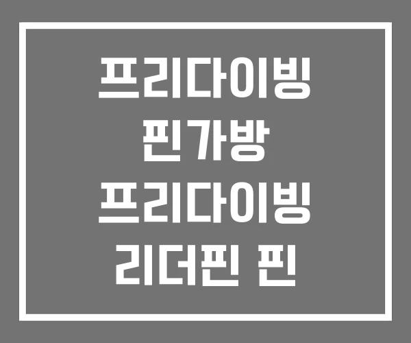 프리다이빙 핀가방 프리다이빙 리더핀 핀