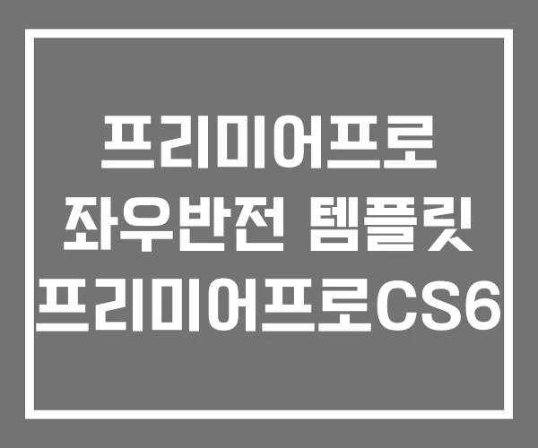 프리미어프로 좌우반전 템플릿 프리미어프로CS6