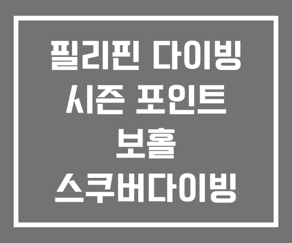 필리핀 다이빙 시즌 포인트 보홀 스쿠버다이빙