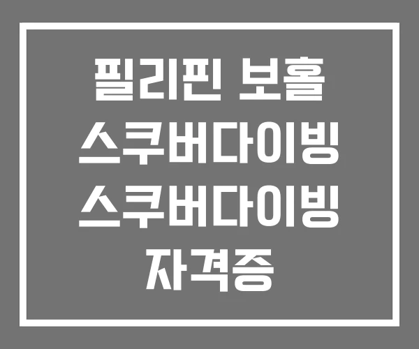 필리핀 보홀 스쿠버다이빙 스쿠버다이빙 자격증
