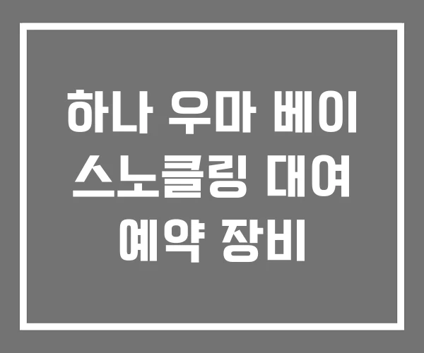 하나 우마 베이 스노클링 대여 예약 장비