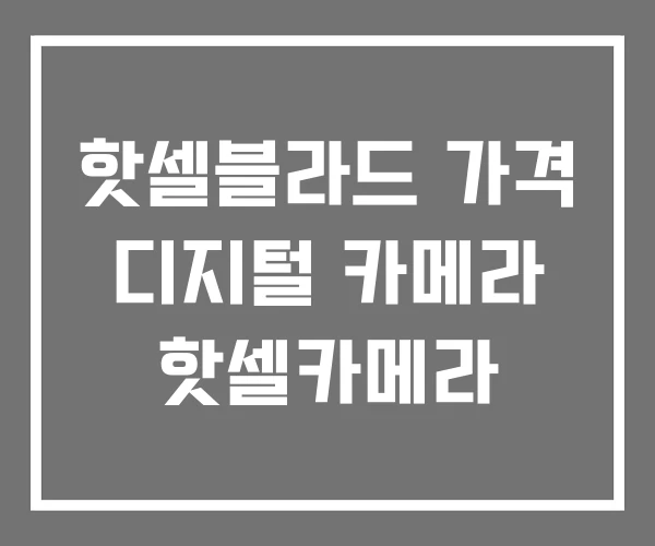 핫셀블라드 가격 디지털 카메라 핫셀카메라