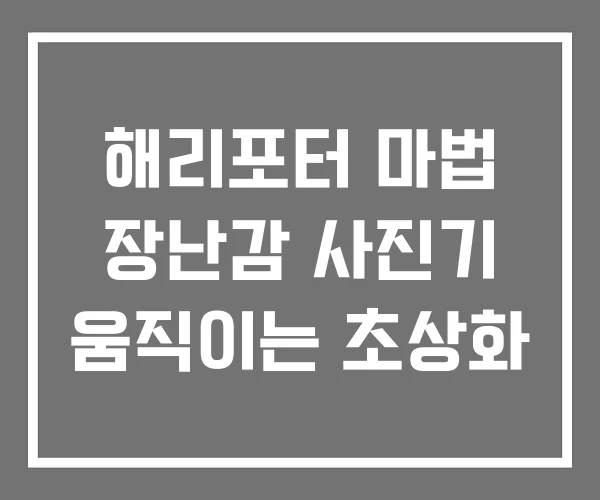 해리포터 마법 장난감 사진기 움직이는 초상화